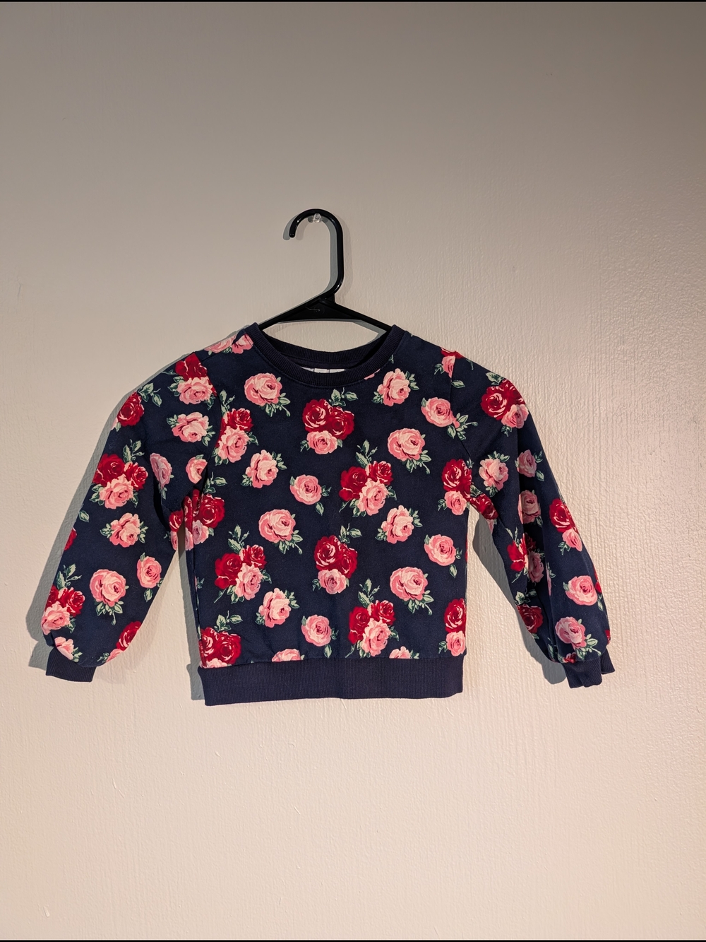 Janie and Jack Navy Floral Pullover with Pink & Red Roses